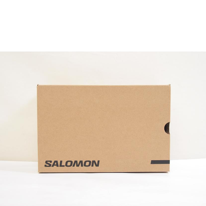SALOMON サロモン/SALOMON　X　ULTRA360　LTR　GTX/475712//Sランク/71