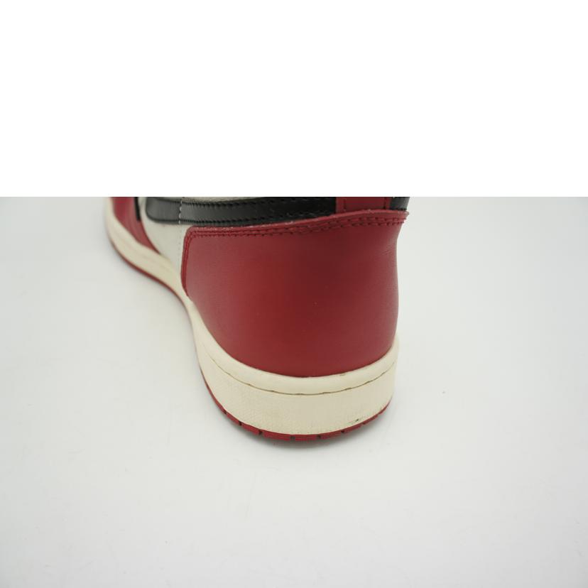 NIKE/メンズスニーカー DZ5485－612//30cm/Bランク/22