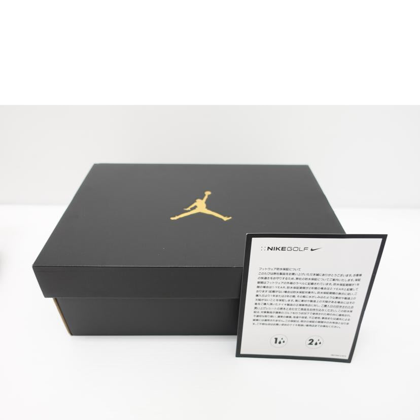 NIKE ナイキ/AIR JORDAN 14 GOLFUS OPEN/HV4813-100//ABランク/88