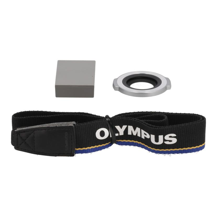 OLYMPUS オリンパス /ミラーレス一眼 レンズキット/E-M10II EZﾚﾝｽﾞｷｯﾄ//BHKD19696/Bランク/67