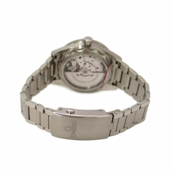 OMEGA オメガ/シーマスター300／コーアクシャル・クロノメーター／自動巻き/234.30.41.21.03.001//838*****/SAランク/69