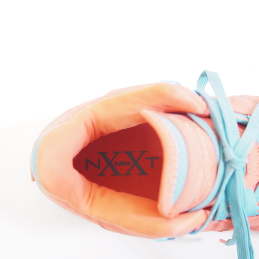 NIKE ナイキ/NIKE　LEBRON　NXXT　GEN　AMPD　EP/FJ1567-401//ABランク/71