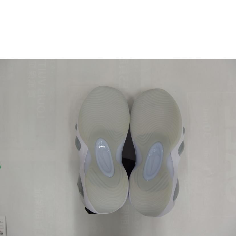 NIKE ナイキ/AIR　ZOOM　FLIGHT　95／ブラック/DV0820-100//Aランク/82