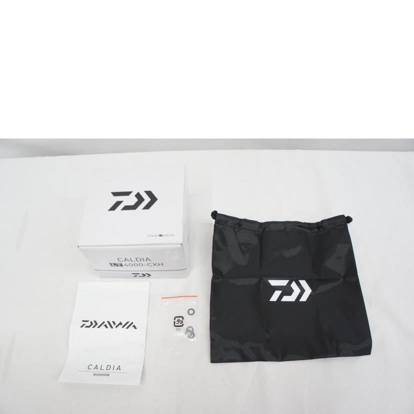 DAIWA ダイワ/21カルディアLT 4000-CXH 右/CALDIA LT/スピニングリール//Bランク/05