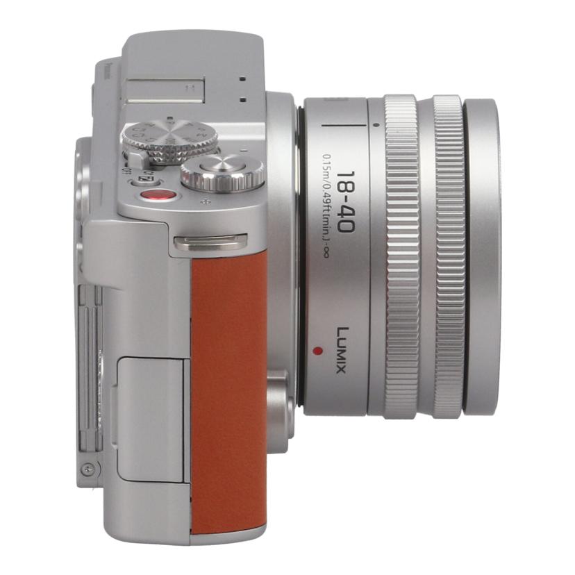 Panasonic パナソニック　/ミラーレス一眼　レンズキット/DC-S9N 広角ｽﾞｰﾑﾚﾝｽﾞｷｯﾄ//WG4SB003119/Aランク/41