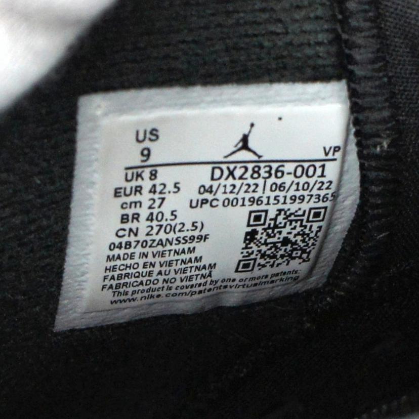 NIKE ナイキ/AIR　JORDAN　6　RETRO　Metallic　Silver/DX2836-001//ABランク/41