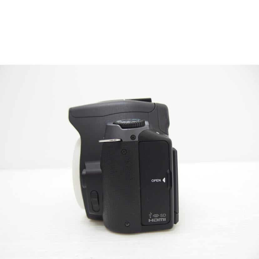 SONY SONY/α380ボディ/DSLR-A380/DSLR-A380//0140270/ABランク/88