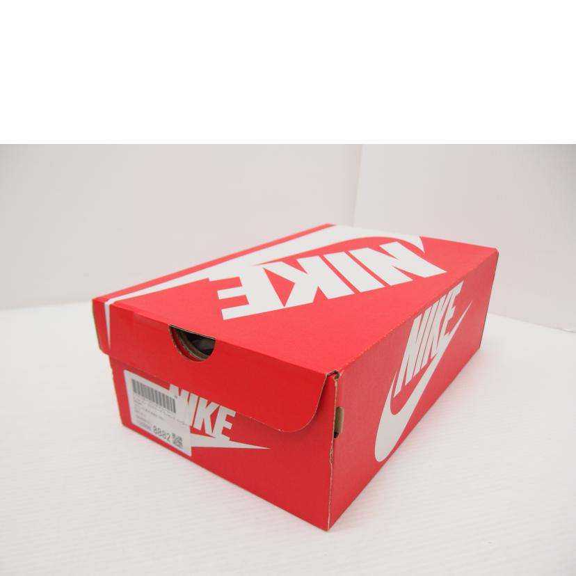 NIKE ナイキ/NIKE GO FLYEASE/DR5540-006//Aランク/88