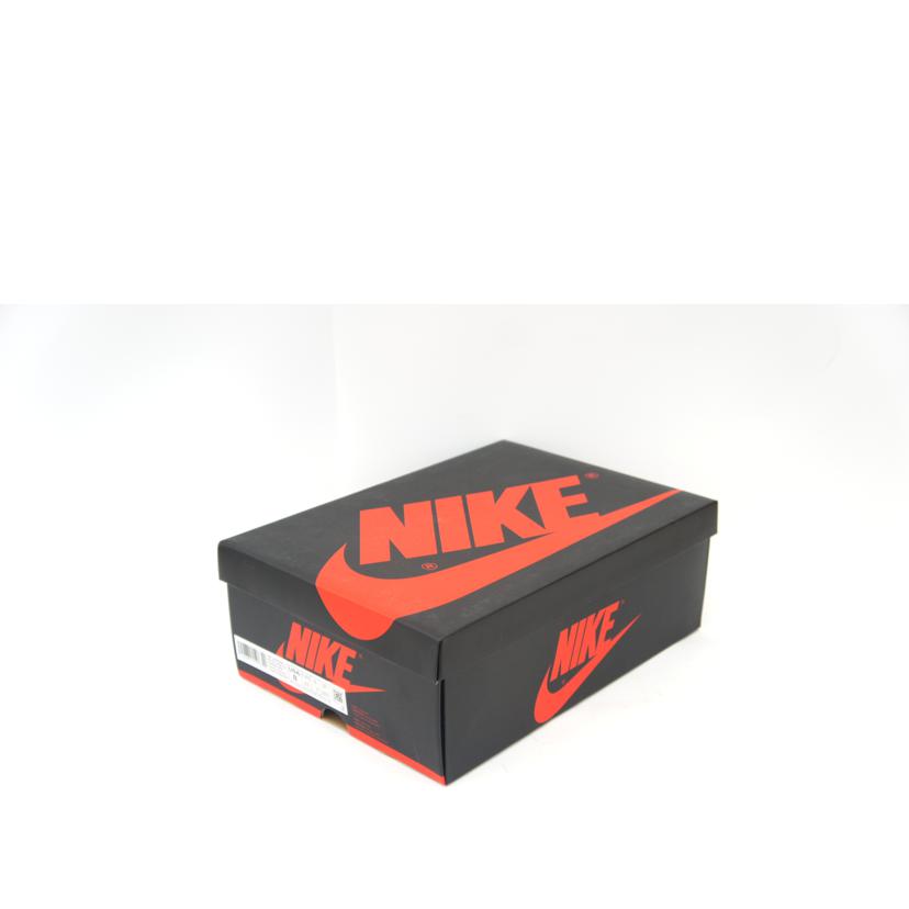 NIKE ナイキ/AIR　JORDAN1　/555088-404//Aランク/75