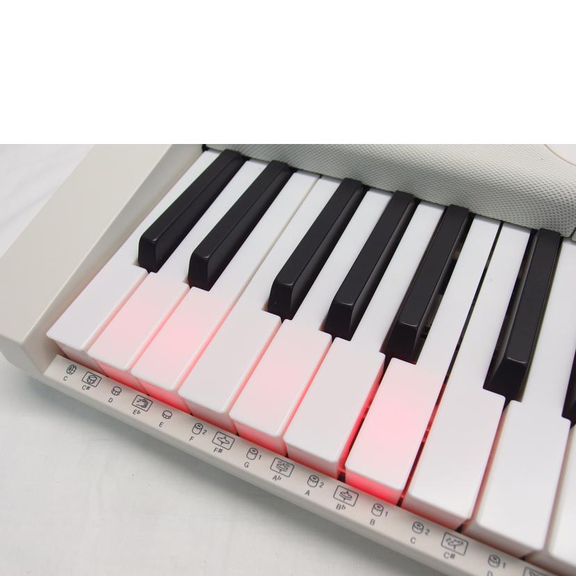 CASIO CASIO/電子キーボード/LK-530/LK-530//883EDC139009782AAB/ABランク/88