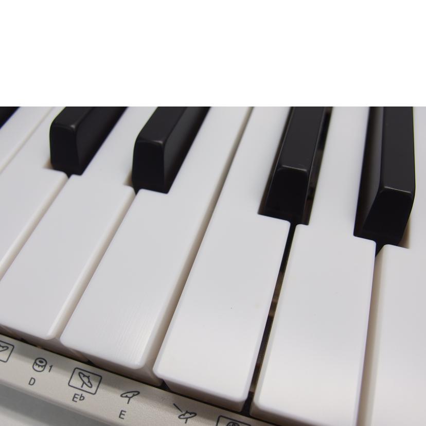 CASIO CASIO/電子キーボード/LK-530/LK-530//883EDC139009782AAB/ABランク/88