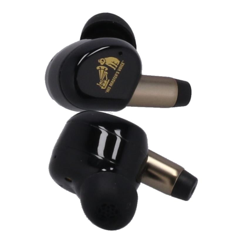 JVC JVCケンウッド　/ワイヤレスイヤホン／Victor　WOOD　master/HA-FW5000T//15015975N15/Aランク/85