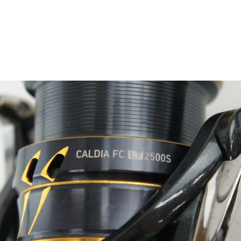 Daiwa ダイワ/スピニングリール　CALDIA　FC　2500S/LT2500S//ABランク/64