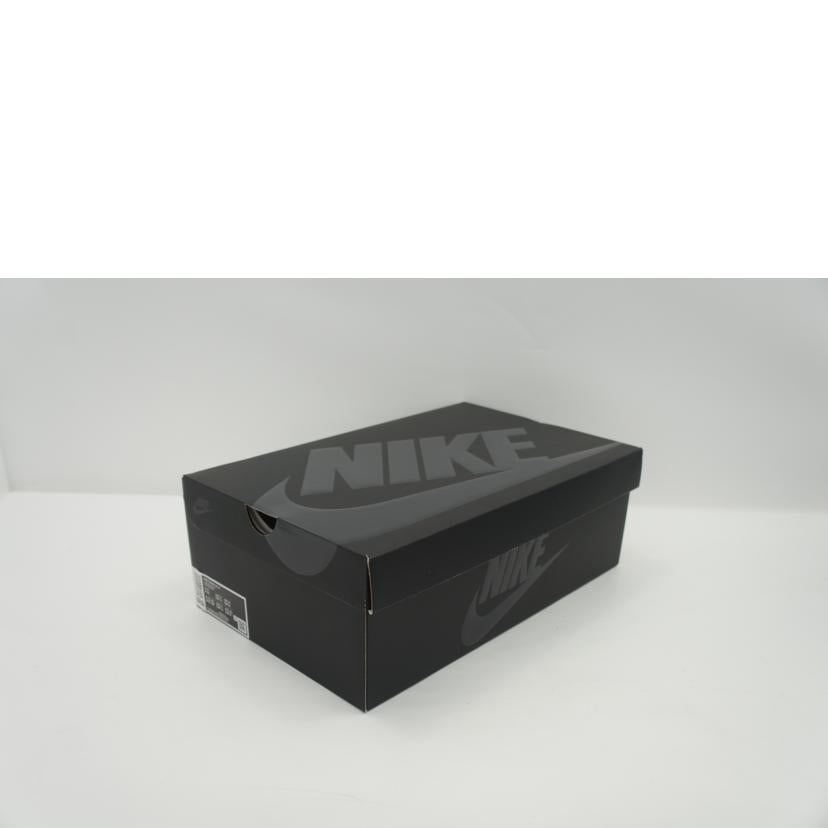 NIKE ナイキ/NIKE　DUNK　HI　／F/DJ0382-600//00194958578534/Aランク/85