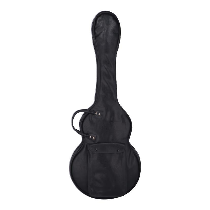 Epiphone　　JAPAN エピフォン/エレキギター/RIVIERA ﾌﾞﾙｰﾗﾍﾞﾙ//048045/Bランク/62