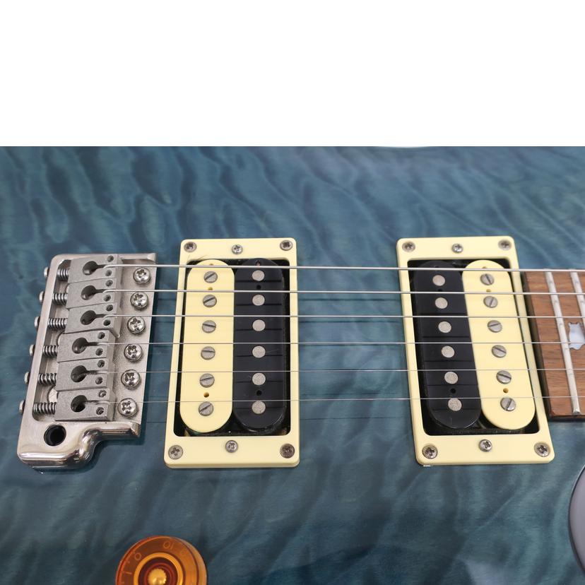 PRS ポールリードスミス/エレキギター　アームなし/SE Custom24//N12254/Bランク/65
