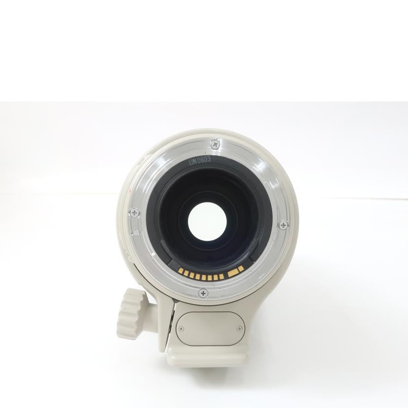 Ｃａｎｏｎ キヤノン/交換レンズ/EF100-400mmF4.5-5.6L IS USM//210897/ABランク/65