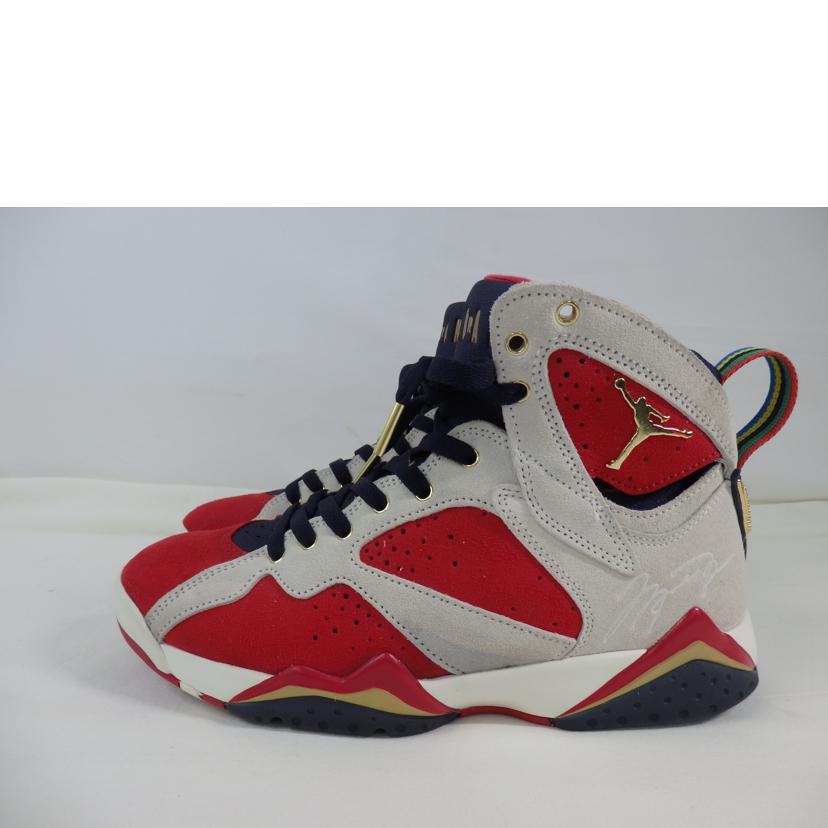 NIKE×TROPHY　ROOM ナイキ/AIR　JORDAN7　RETRO　SP/DM1195-474//Bランク/84