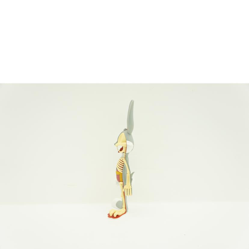 Warner Bros ワーナーブラザーズ/Anatomical Wabbit//ABランク/24