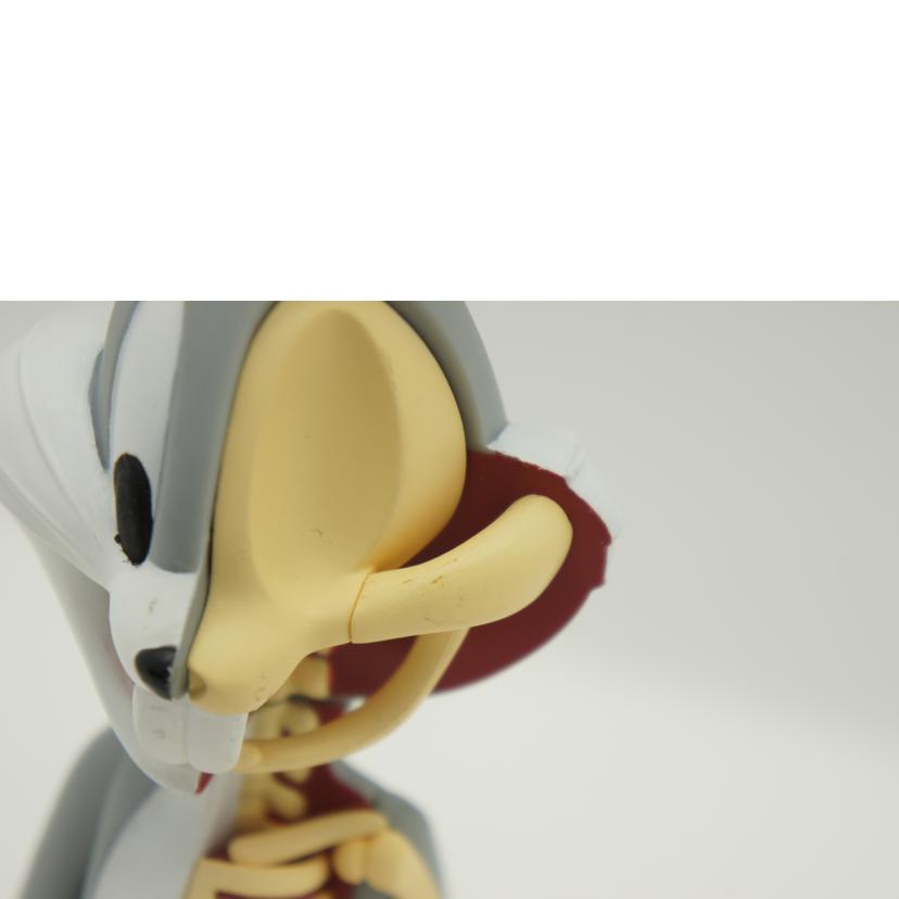 Warner Bros ワーナーブラザーズ/Anatomical Wabbit//ABランク/24