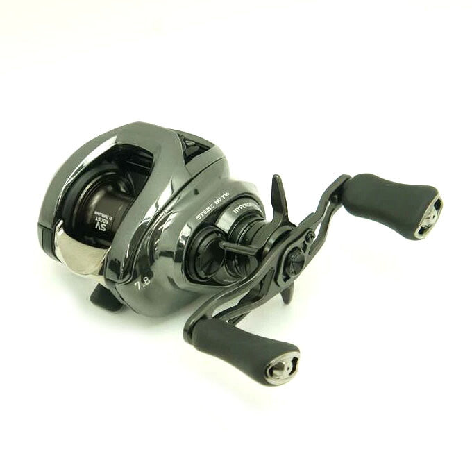 DAIWA ダイワ/24STEEZ SV TW 100H /00630312//Aランク/24