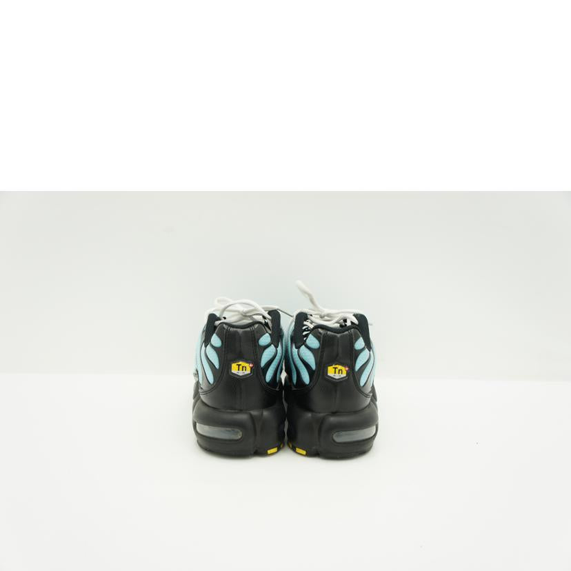 NIKE ナイキ/Nike Air Max Plus ＂Aqua/Black/White/Metallic Silver＂/CV8838-400//ABランク/41