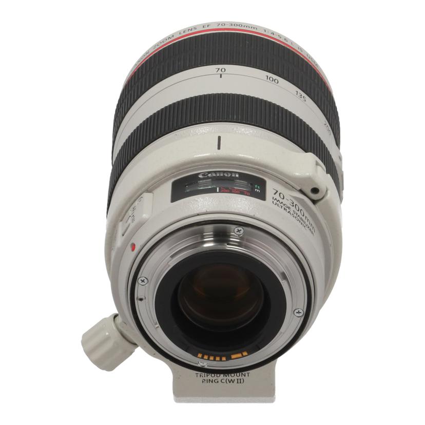 Canon キャノン/デジタル対応レンズ/EF70-300mm F4-5.6L IS USM//7000002425/Bランク/70