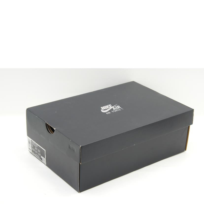 NIKE ナイキ/レブロン・ジェームズ×エアフォース1ロー／ストライプフォーグレートネス/DC8877-200//ｻｲｽﾞ:29cm/Aランク/75