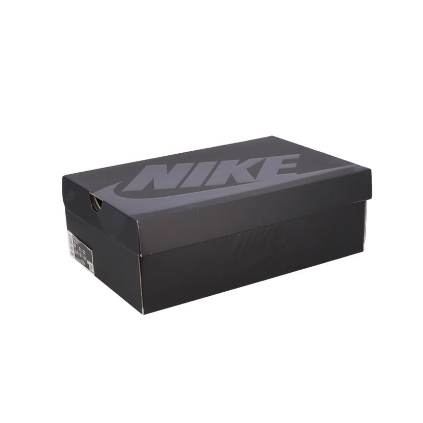 NIKE ナイキ/DUNK HI/F/DJ0382-600//ABランク/41