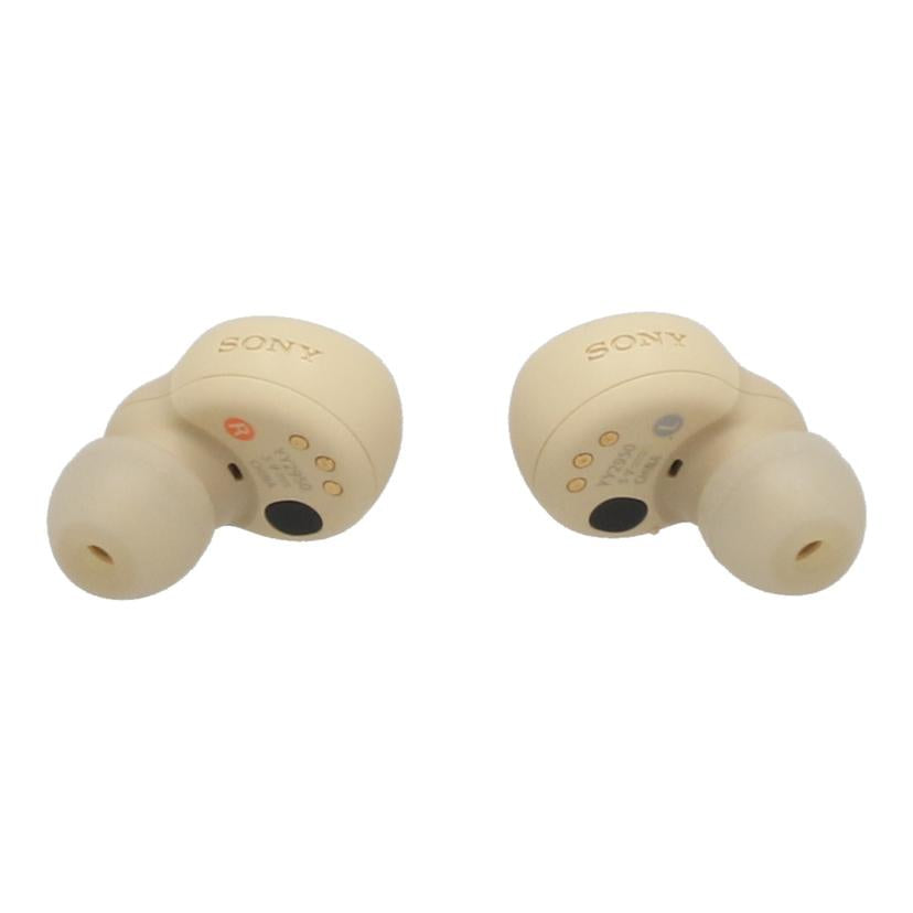 SONY ソニー /ワイヤレスイヤホン/LinkBuds S/WF-LS900N//S0140377007/Bランク/62