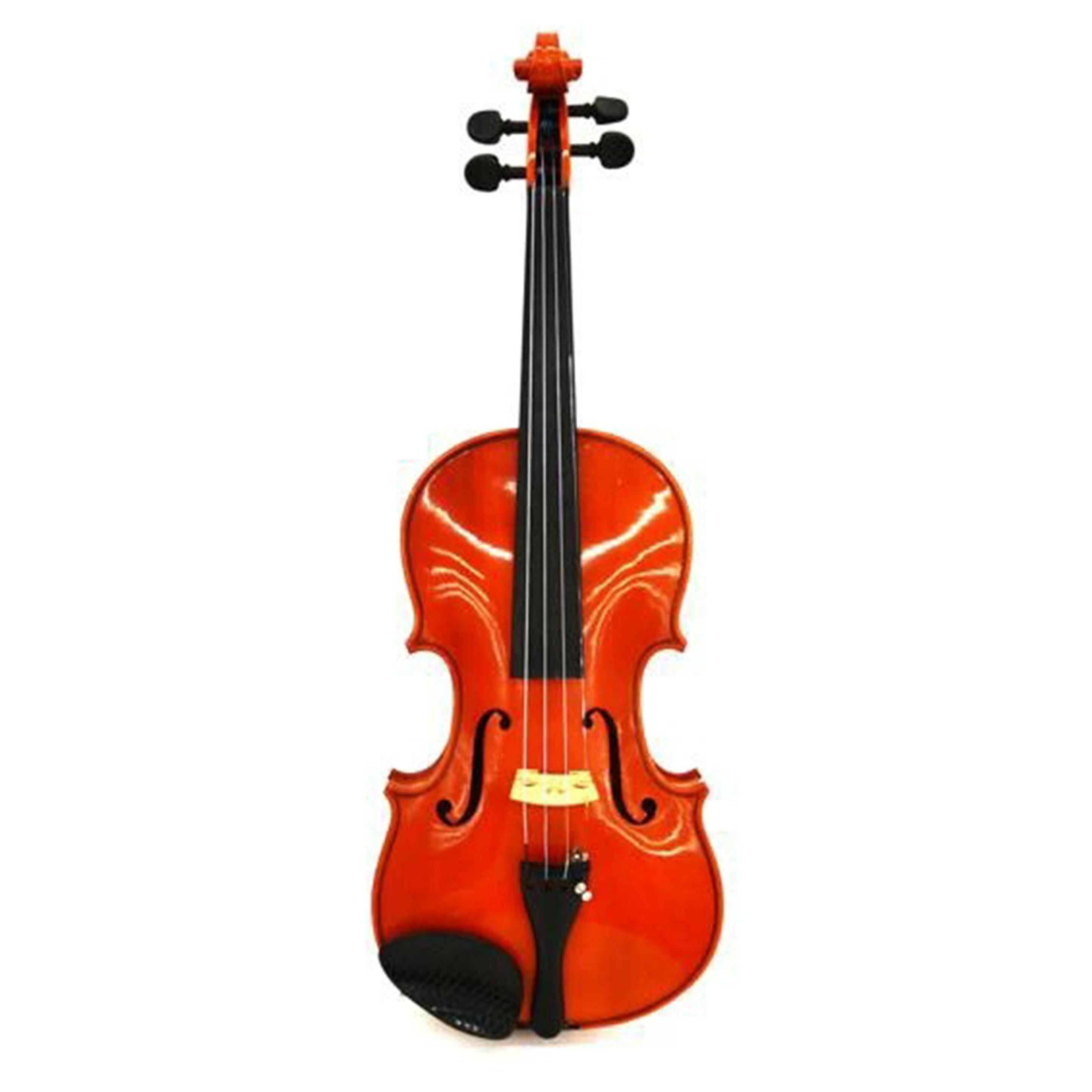 F．Pietro F.ピエトロ/バイオリン//Bランク/75