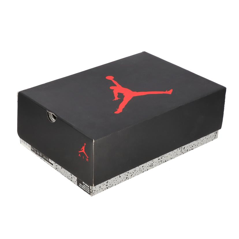 NIKE ナイキ/AIR　JORDAN　6　RETRO/CT8529-106//Sランク/05