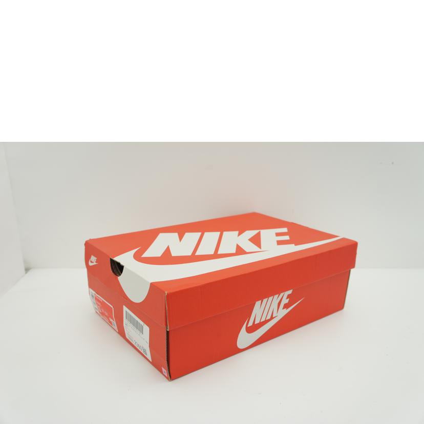 NIKE ナイキ/NIKE　AIR　MAX　95/DM0011-101//Sランク/05