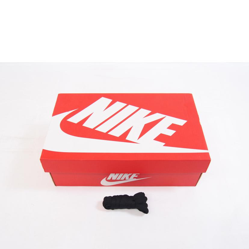 NIKE ナイキ/NIKE　DUNK　LOW　RETRO　SE/HQ1932-700//Sランク/71