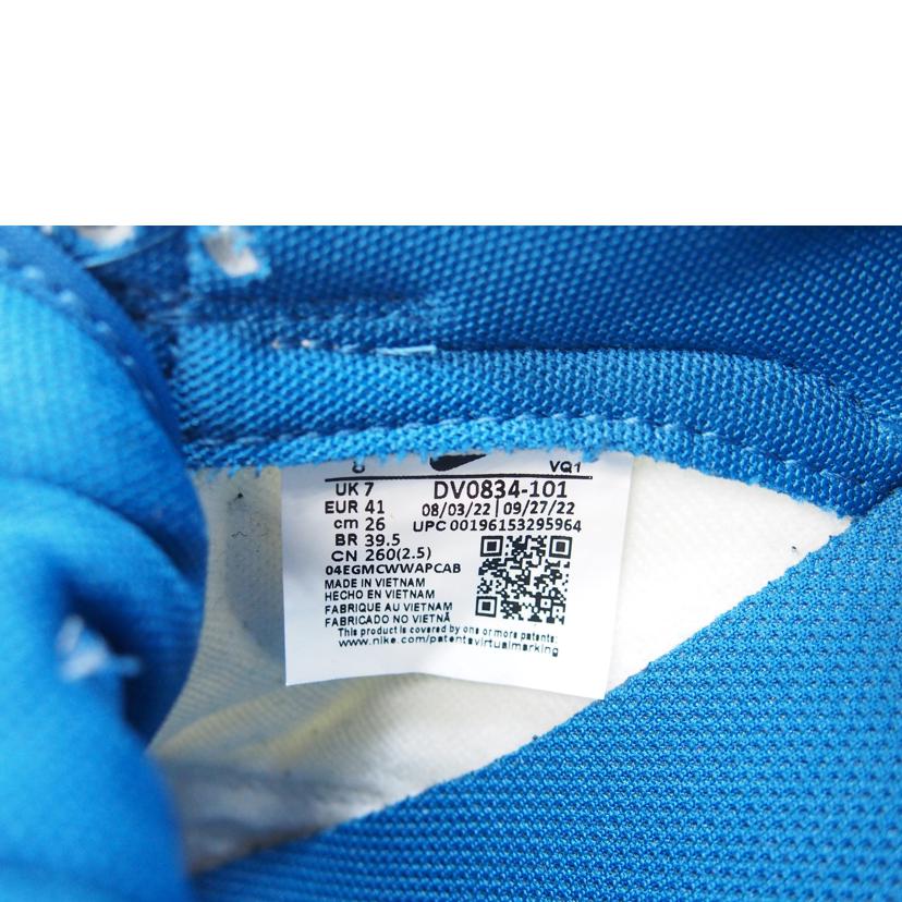 NIKE ナイキ/NIKE　DUNK　LOW　RETRO　SE/DV0834-101//Aランク/71