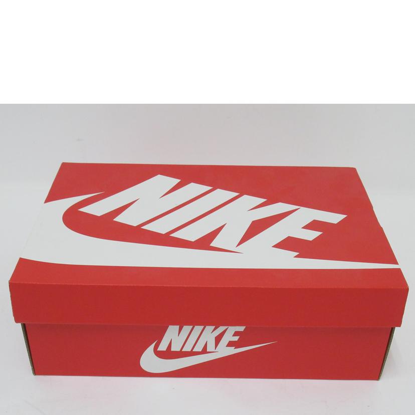 NIKE/DUNK　HI　RETRO／Blue　Chill－White/DD1399-401//ABランク/63