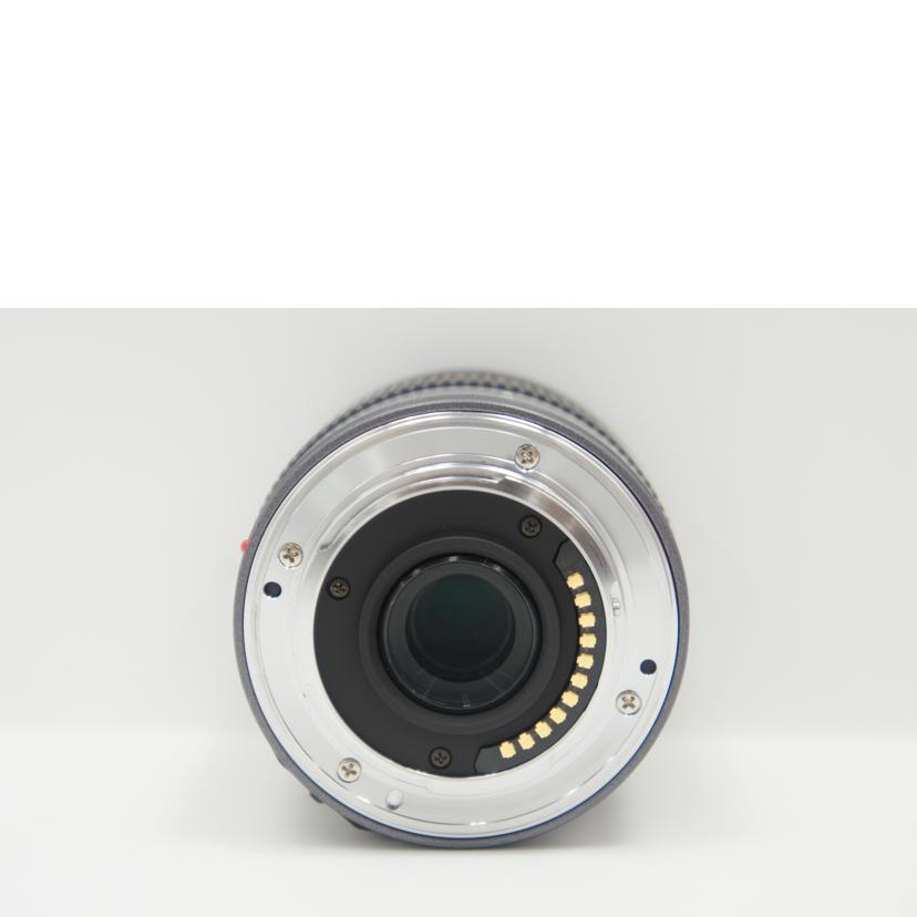 ＬＵＭＩＸ ルミックス/交換レンズ／Ｇ　ＶＡＲＩＯ　１４－４５ｍｍ/G VARIO 14-45mm//BR8JA021936/Bランク/75