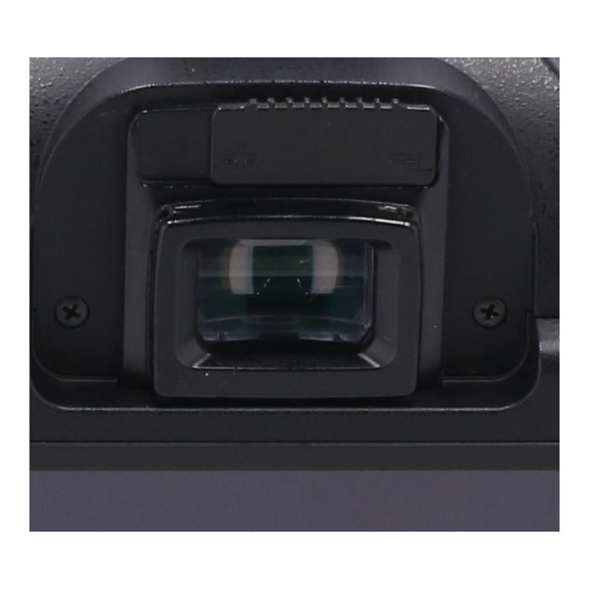 PENTAX ペンタックス　/デジタル一眼ボディ/K20D ﾎﾞﾃﾞｨ//2951327/Bランク/62