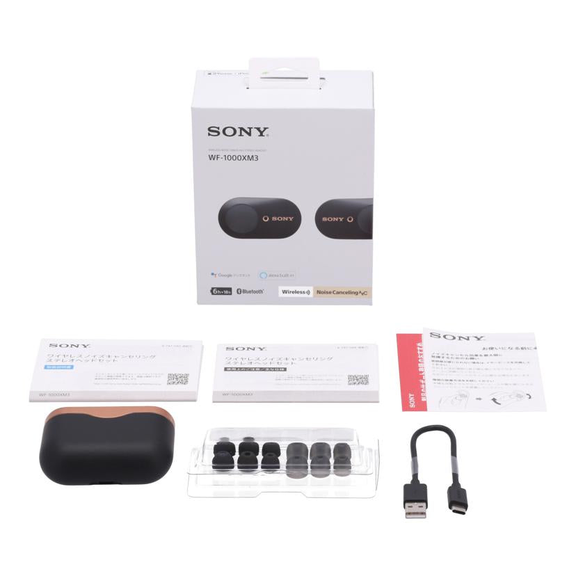 SONY ソニー/ワイヤレスイヤホン/WF-1000XM3//S0121304949/Bランク/62