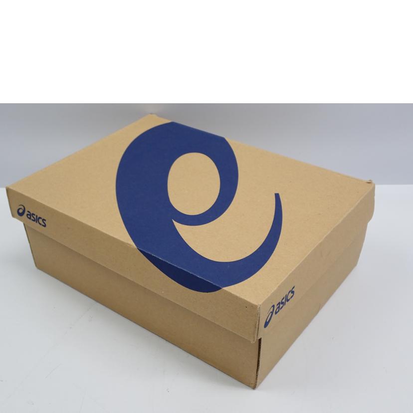 asics アシックス/asics　HADASHI　WALKER　GTX　M063/1291A063-020//26.5cm/Sランク/62