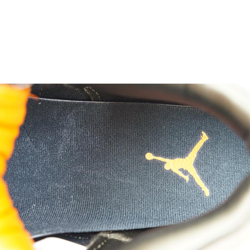 NIKE ナイキ/NIKE　AIR　JORDAN　3RETRO　SE　27．5/DO1830-200//Aランク/67