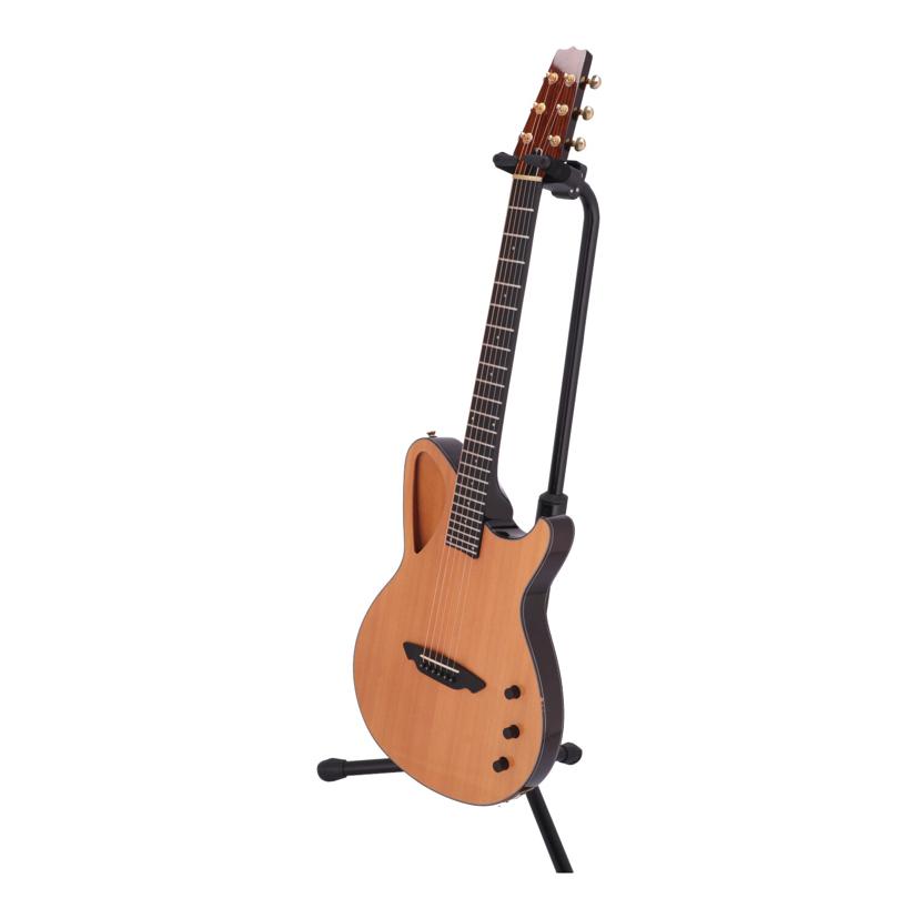 エレアコ ARIA Amazon | ARIA APE-100 SR シースルーレッド アコースティック