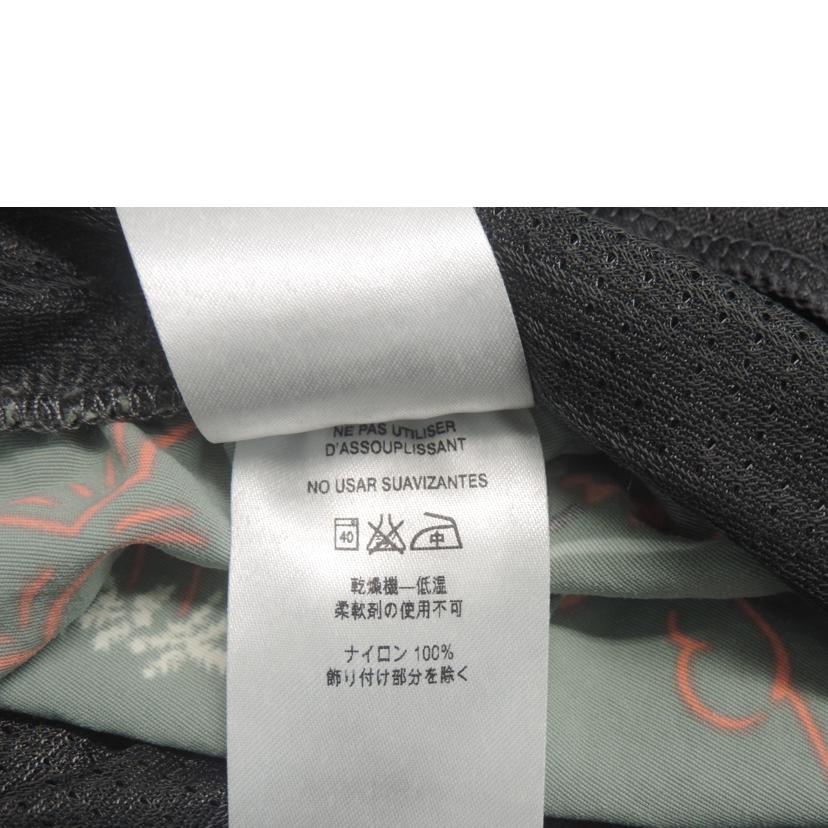 patagonia ﾊﾟﾀｺﾞﾆｱ/バギーショーツ/57020SP17//ABランク/88