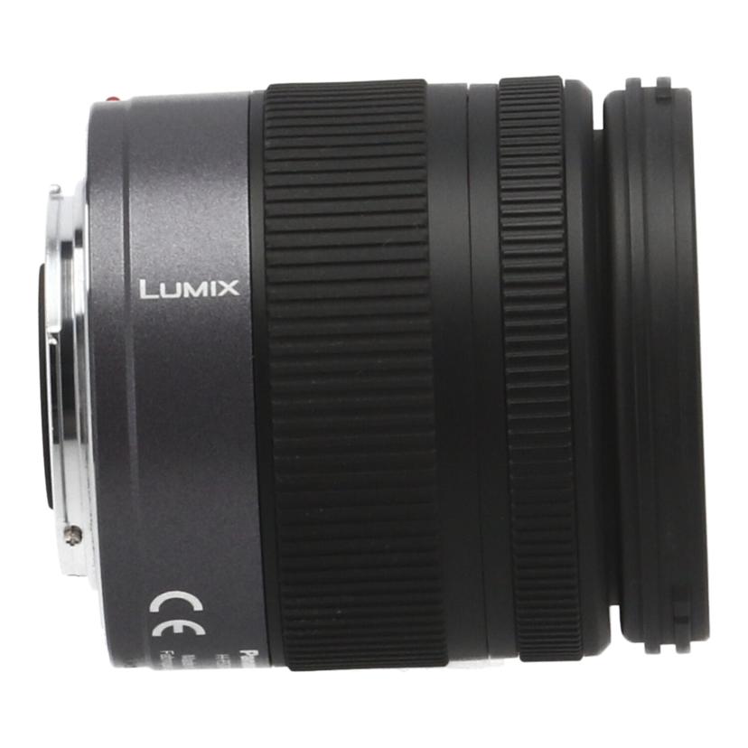 Panasonic パナソニック　/交換レンズ／14－45mm/H-FS014045//BR8JA036452/ABランク/42