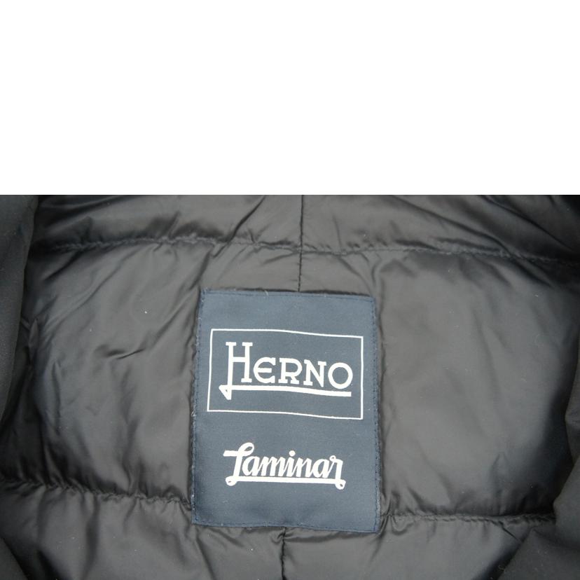 HERNO ヘルノ/　HERNO　ダウンジャケット/22067-20827-5//Bランク/67