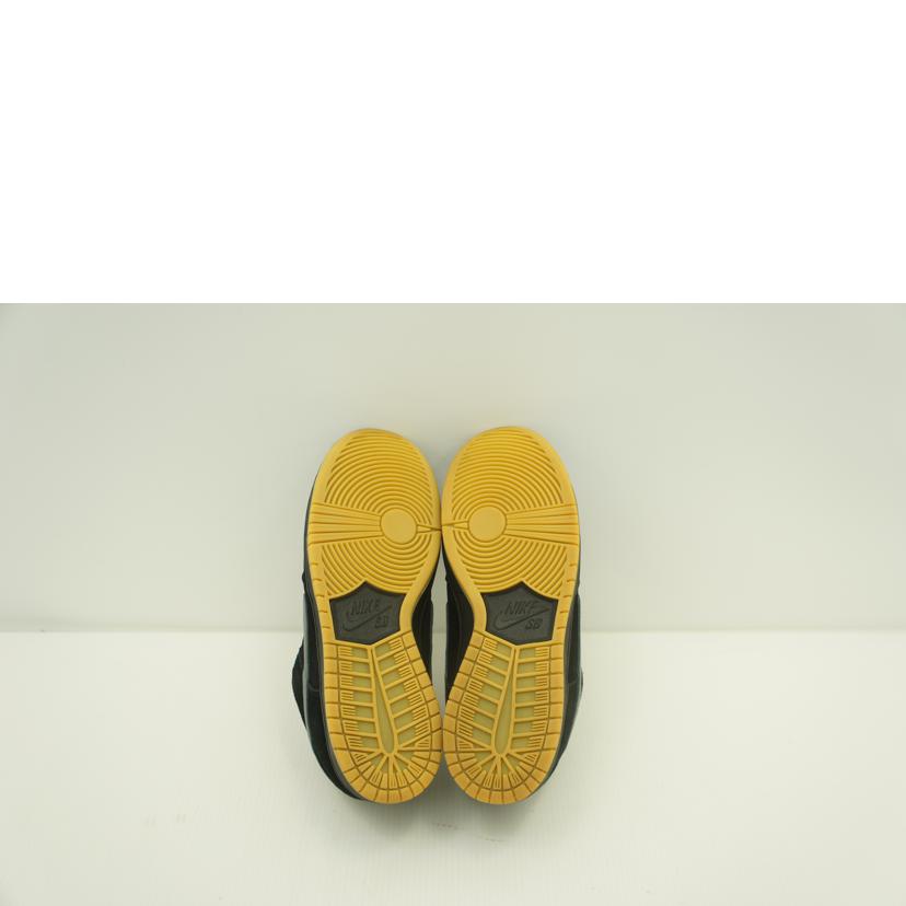 NIKE ナイキ/SB　DUNKLOW　PRO/BQ6817-010//Aランク/09