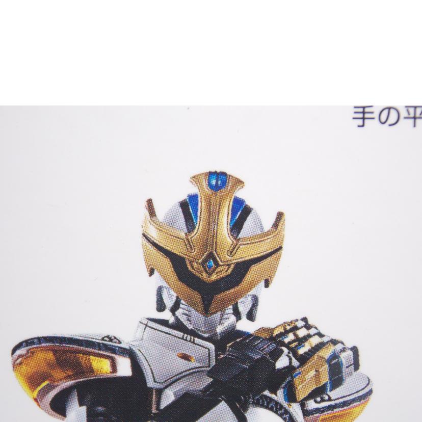 BANDAI バンダイ/真骨彫製法　仮面ライダーイクサ//ABランク/42