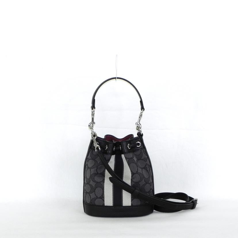 COACH コーチ/ドローストリングバッグ/C8322//Aランク/81