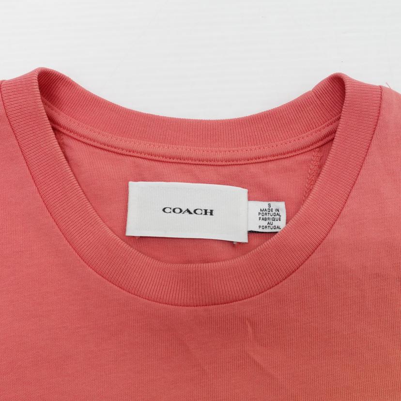 COACH コーチ/◇オンブレホースアンドキャリッジTシャツ/CA708//ABランク/88