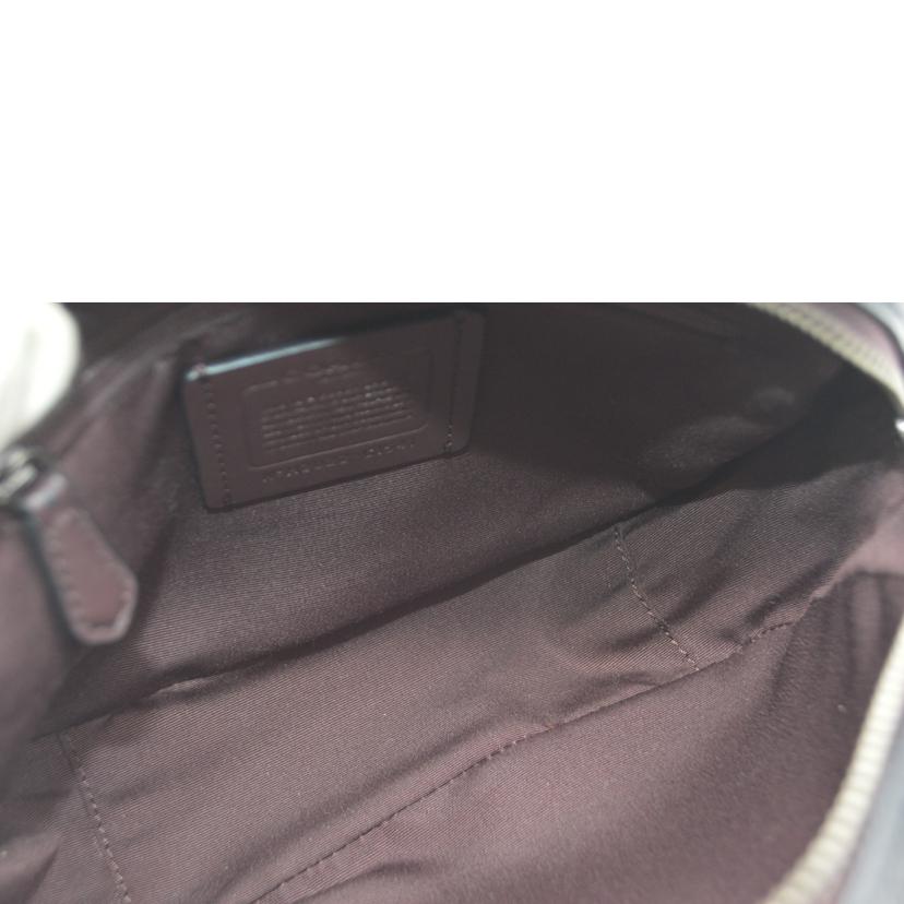 COACH コーチ/シグネチャーフェアアイルマルチレザーショルダー/C1541//H20**/Aランク/89